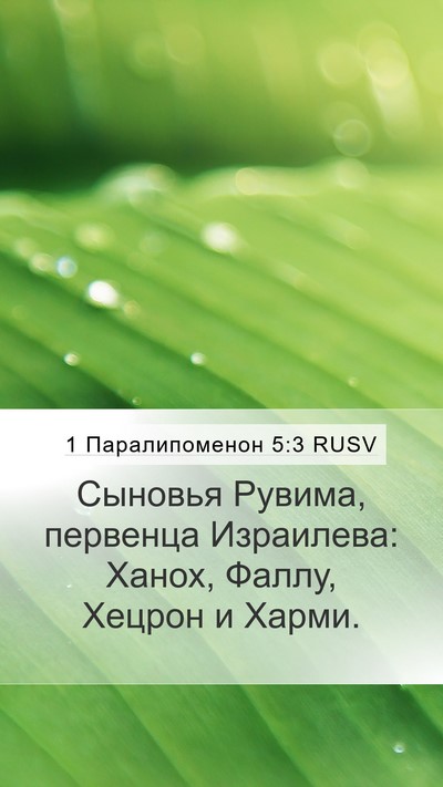 1 Паралипоменон 5:3 RUSV Mobile Phone Wallpaper - Сыновья Рувима, первенца - Mobile Bible Verse Wallpaper