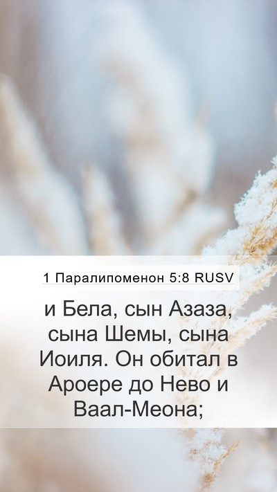 1 Паралипоменон 5:8 RUSV Bible Verse Image