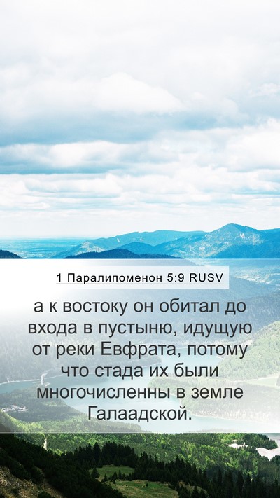 1 Паралипоменон 5:9 RUSV Bible Verse Image