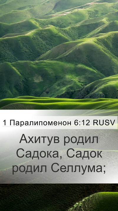 1 Паралипоменон 6:12 RUSV Mobile Phone Wallpaper - Ахитув родил Садока, Садок - Mobile Bible Verse Wallpaper