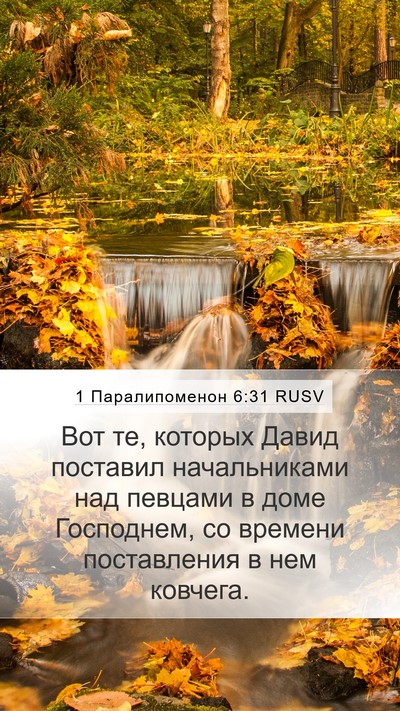 1 Паралипоменон 6:31 RUSV Mobile Phone Wallpaper - Вот те, которых Давид - Mobile Bible Verse Wallpaper