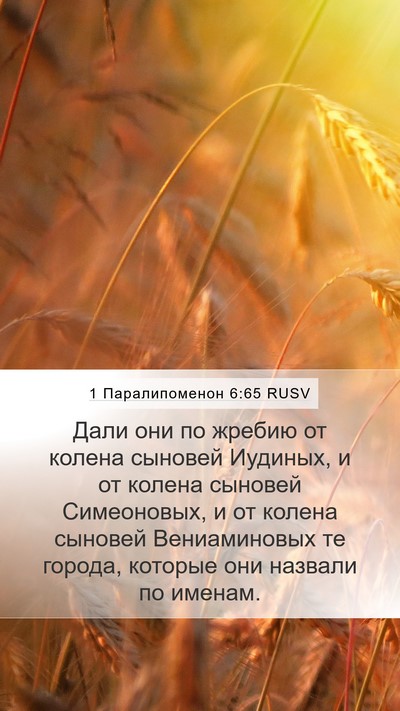 1 Паралипоменон 6:65 RUSV Bible Verse Image