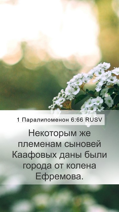 1 Паралипоменон 6:66 RUSV Bible Verse Image