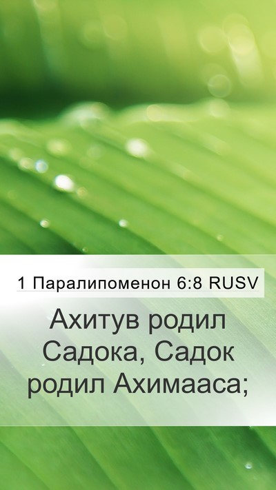 1 Паралипоменон 6:8 RUSV Bible Verse Image