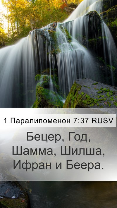 1 Паралипоменон 7:37 RUSV Mobile Phone Wallpaper - Бецер, Год, Шамма, Шилша, - Mobile Bible Verse Wallpaper