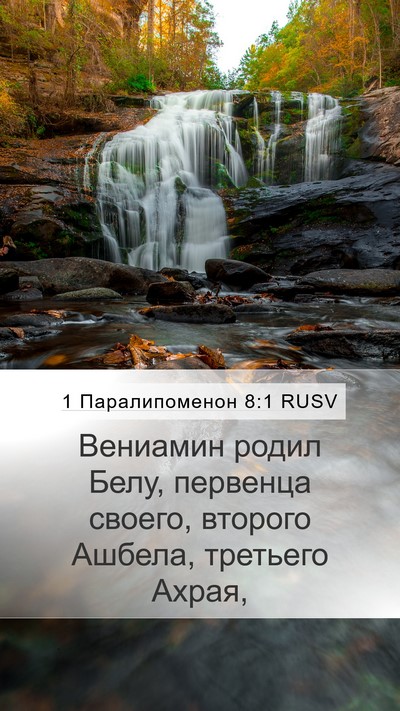 1 Паралипоменон 8:1 RUSV Bible Verse Image