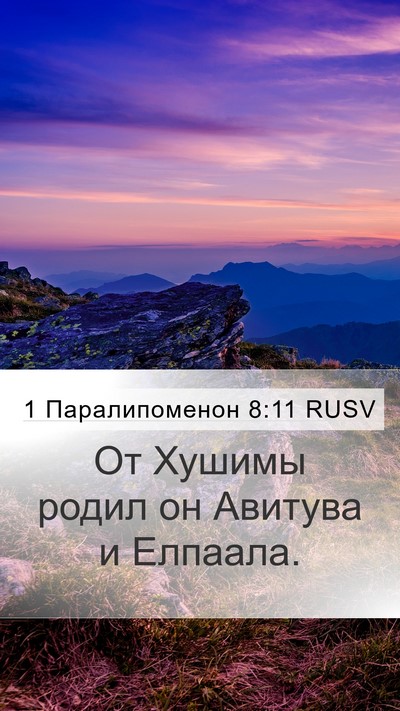 1 Паралипоменон 8:11 RUSV Mobile Phone Wallpaper - От Хушимы родил он Авитува - Mobile Bible Verse Wallpaper
