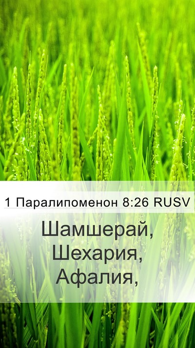 1 Паралипоменон 8:26 RUSV Mobile Phone Wallpaper - Шамшерай, Шехария, - Mobile Bible Verse Wallpaper