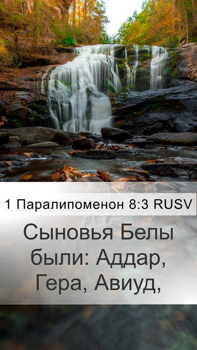 1 Паралипоменон 8:3 RUSV Bible Verse Image