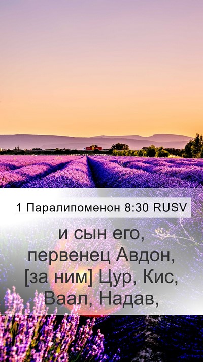 1 Паралипоменон 8:30 RUSV Mobile Phone Wallpaper - и сын его, первенец Авдон, - Mobile Bible Verse Wallpaper
