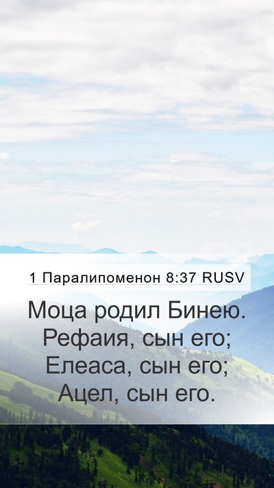 1 Паралипоменон 8:37 RUSV Bible Verse Image