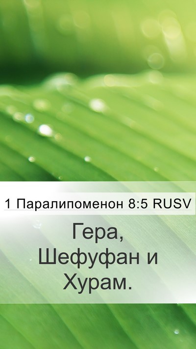 1 Паралипоменон 8:5 RUSV Mobile Phone Wallpaper - Гера, Шефуфан и - Mobile Bible Verse Wallpaper