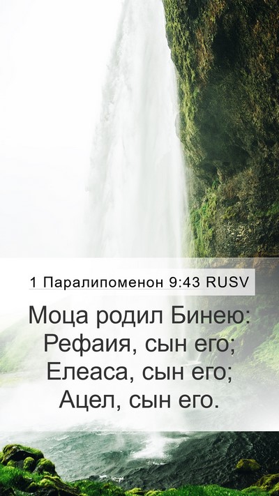 1 Паралипоменон 9:43 RUSV Mobile Phone Wallpaper - Моца родил Бинею: Рефаия, - Mobile Bible Verse Wallpaper