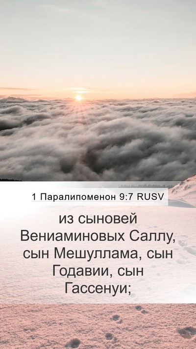 1 Паралипоменон 9:7 RUSV Bible Verse Image