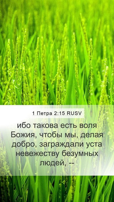 1 Петра 2:15 RUSV Bible Verse Image