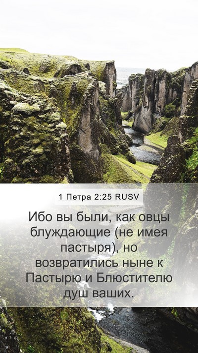 1 Петра 2:25 RUSV Bible Verse Image
