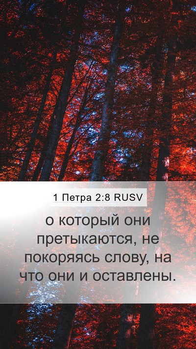 1 Петра 2:8 RUSV Bible Verse Image
