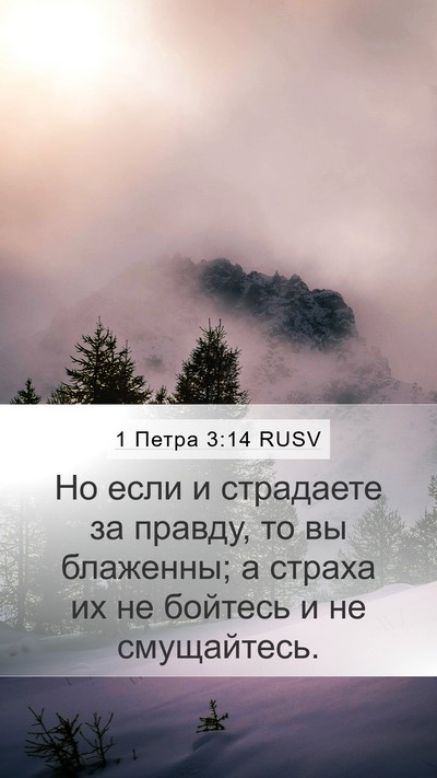 1 Петра 3:14 RUSV Bible Verse Image