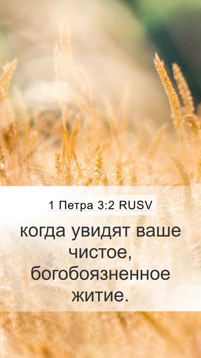 1 Петра 3:2 RUSV Bible Verse Image