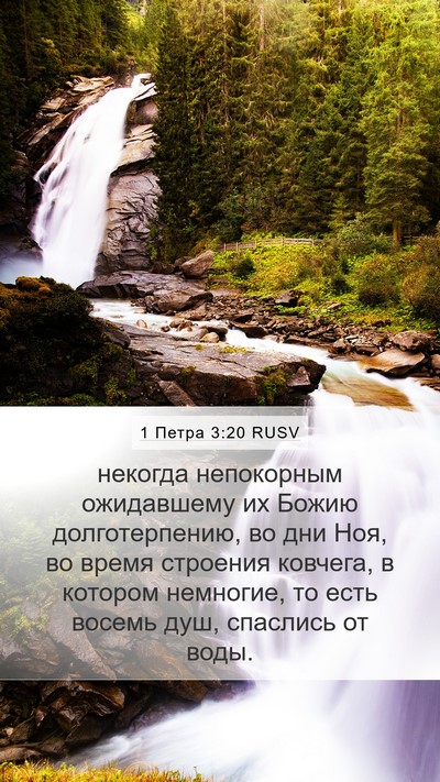 1 Петра 3:20 RUSV Bible Verse Image