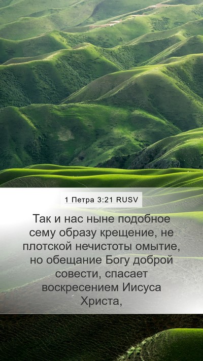 1 Петра 3:21 RUSV Bible Verse Image
