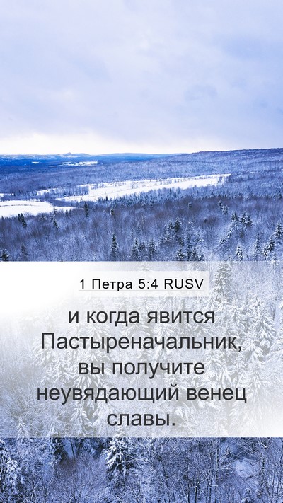 1 Петра 5:4 RUSV Bible Verse Image