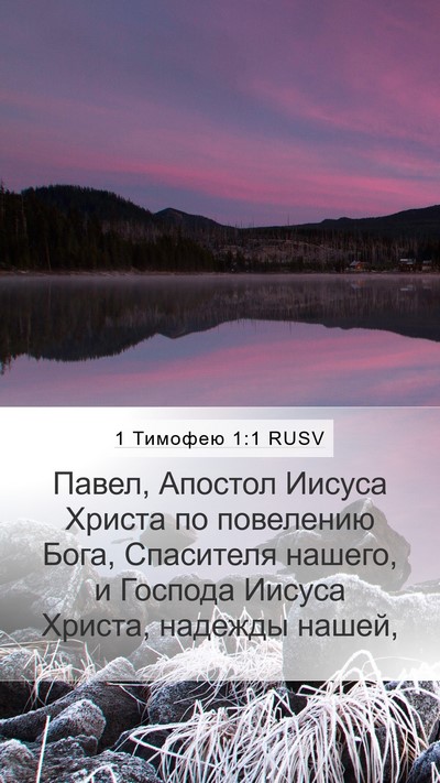 1 Тимофею 1:1 RUSV Bible Verse Image