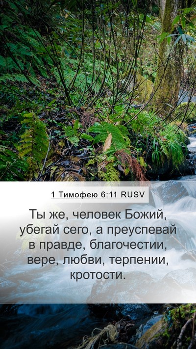 1 Тимофею 6:11 RUSV Bible Verse Image