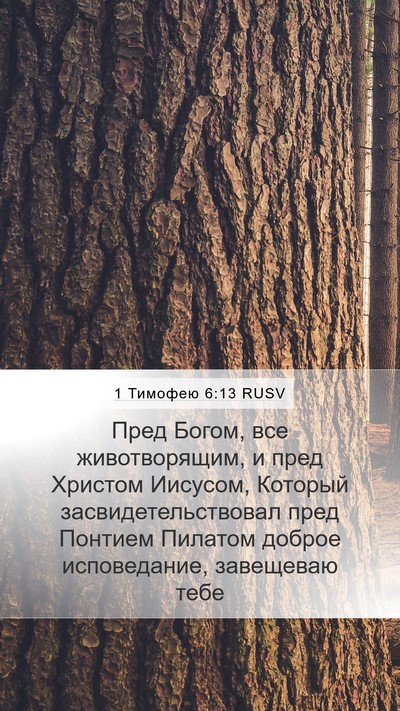 1 Тимофею 6:13 RUSV Bible Verse Image