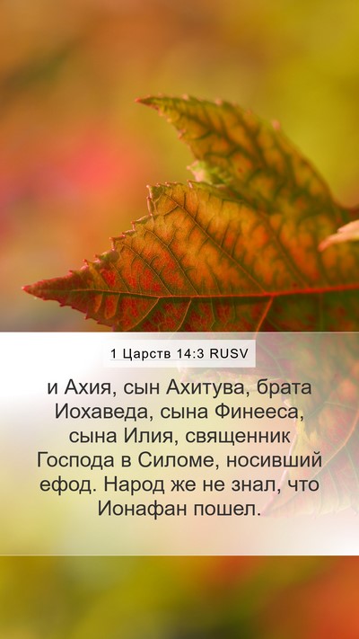 1 Царств 14:3 RUSV Bible Verse Image