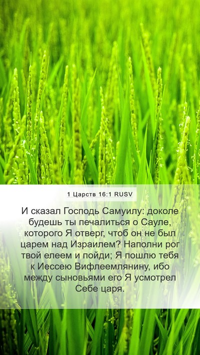 1 Царств 16:1 RUSV Bible Verse Image