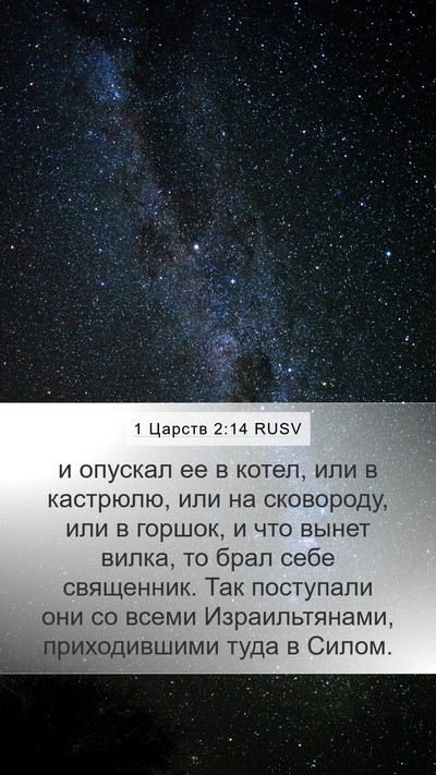 1 Царств 2:14 RUSV Mobile Phone Wallpaper - и опускал ее в котел, или в - Mobile Bible Verse Wallpaper