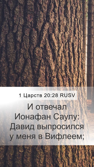1 Царств 20:28 RUSV Mobile Phone Wallpaper - И отвечал Ионафан Саулу: - Mobile Bible Verse Wallpaper