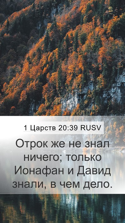 1 Царств 20:39 RUSV Mobile Phone Wallpaper - Отрок же не знал ничего; - Mobile Bible Verse Wallpaper