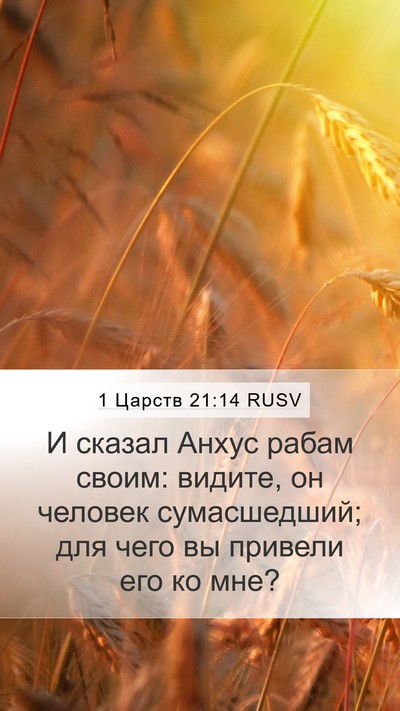 1 Царств 21:14 RUSV Mobile Phone Wallpaper - И сказал Анхус рабам своим: - Mobile Bible Verse Wallpaper