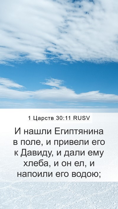 1 Царств 30:11 RUSV Bible Verse Image