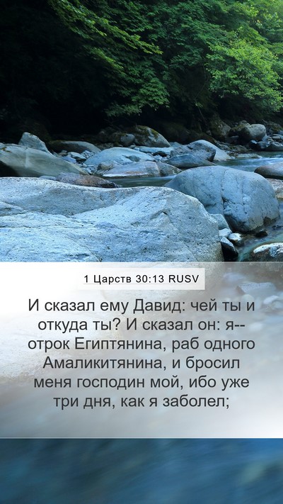1 Царств 30:13 RUSV Bible Verse Image