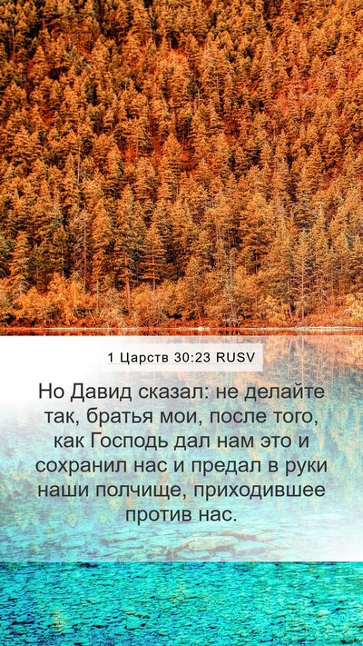 1 Царств 30:23 RUSV Bible Verse Image