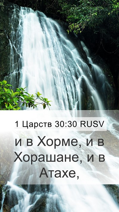 1 Царств 30:30 RUSV Bible Verse Image