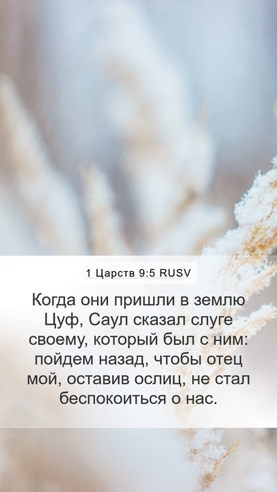 1 Царств 9:5 RUSV Bible Verse Image