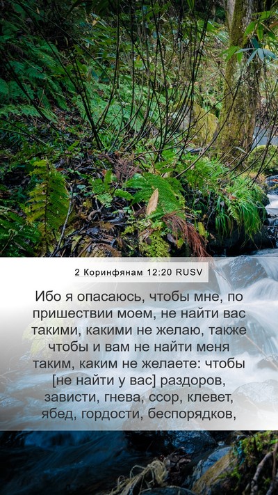 2 Коринфянам 12:20 RUSV Bible Verse Image