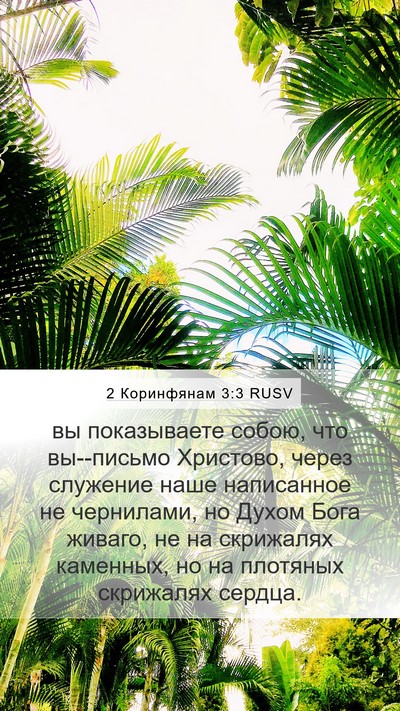 2 Коринфянам 3:3 RUSV Bible Verse Image