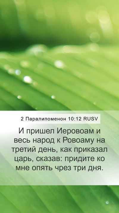 2 Паралипоменон 10:12 RUSV Bible Verse Image