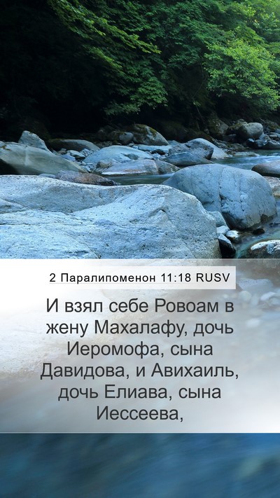 2 Паралипоменон 11:18 RUSV Mobile Phone Wallpaper - И взял себе Ровоам в жену - Mobile Bible Verse Wallpaper