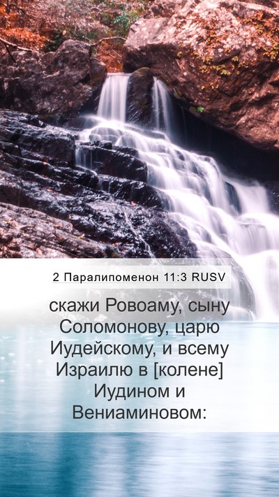 2 Паралипоменон 11:3 RUSV Mobile Phone Wallpaper - скажи Ровоаму, сыну - Mobile Bible Verse Wallpaper