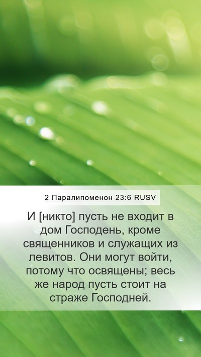 2 Паралипоменон 23:6 RUSV Bible Verse Image