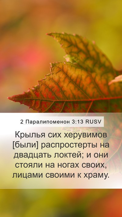 2 Паралипоменон 3:13 RUSV Mobile Phone Wallpaper - Крылья сих херувимов [были] - Mobile Bible Verse Wallpaper