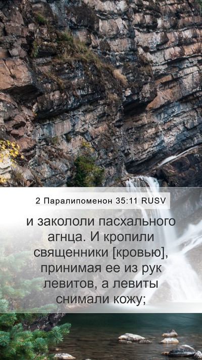 2 Паралипоменон 35:11 RUSV Bible Verse Image