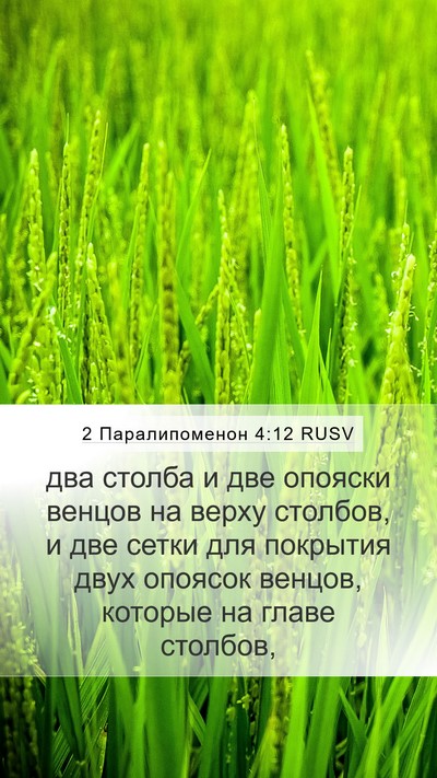 2 Паралипоменон 4:12 RUSV Bible Verse Image