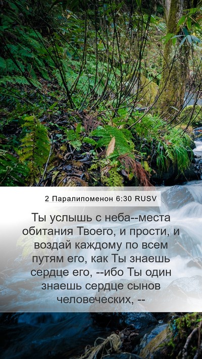 2 Паралипоменон 6:30 RUSV Bible Verse Image